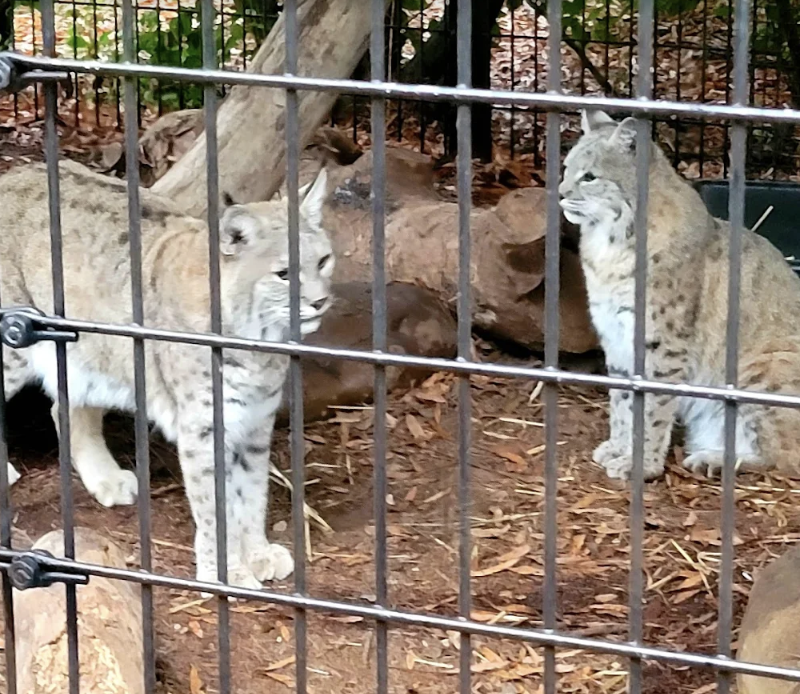 chattanooga-zoo